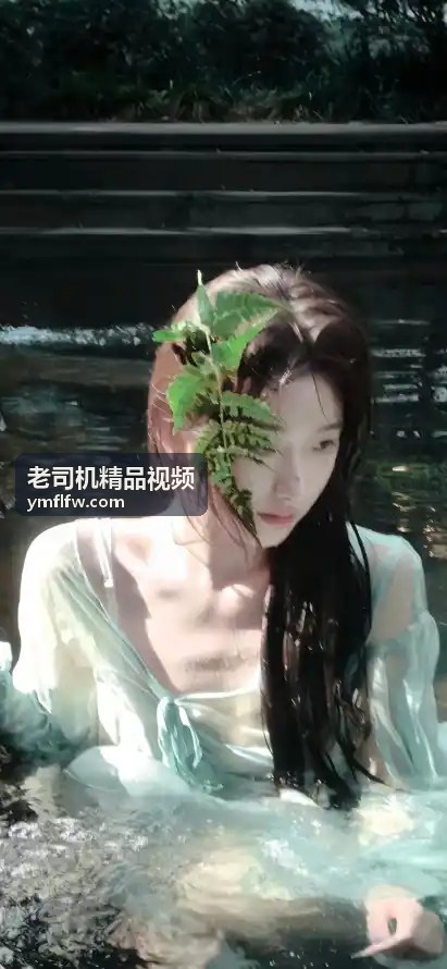 亚洲精品天天影视综合网：海量高清资源每日更新